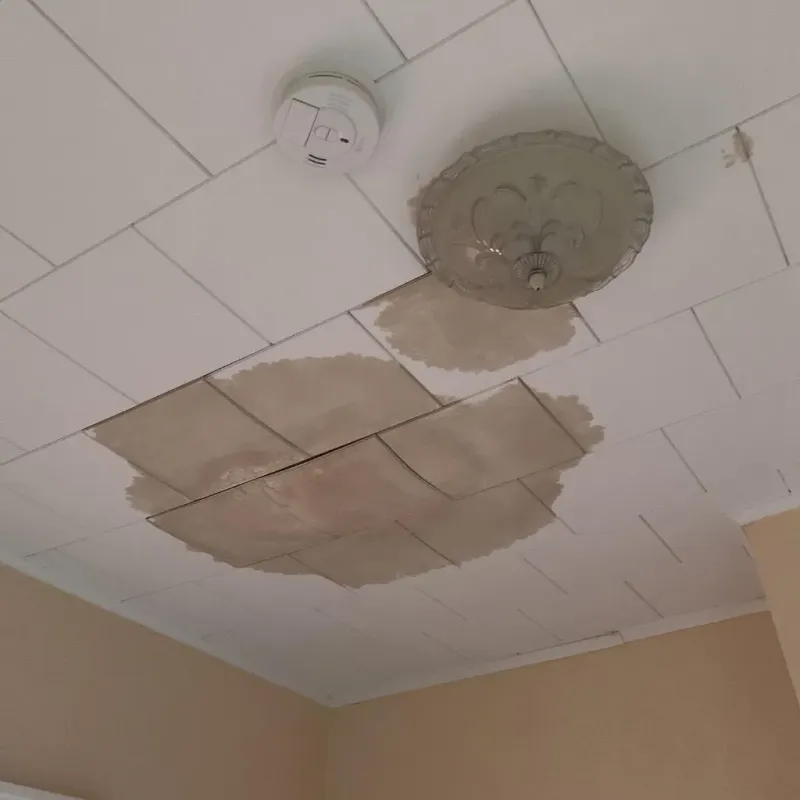Ceiling Water Damage Repair in Red River County, TX