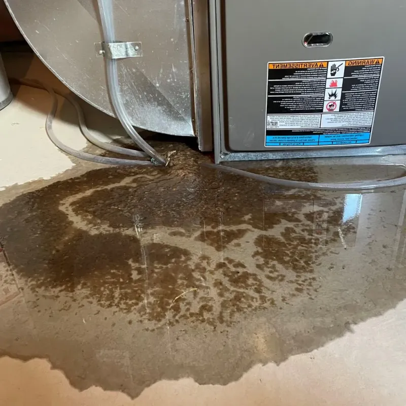 Pipe Burst and Leak Restoration in Red River County, TX