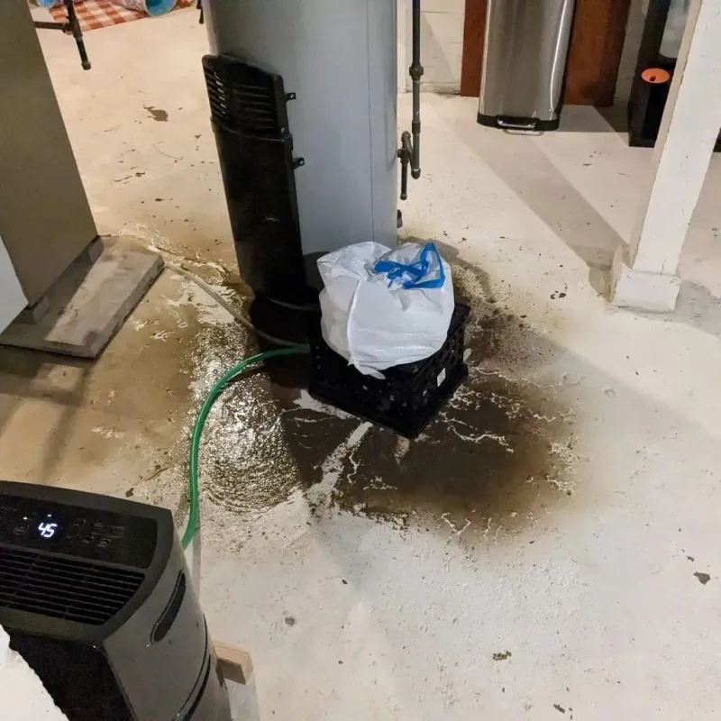 Sewage Backup Cleanup Service in Red River County, TX